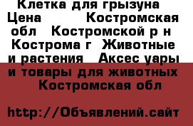 Клетка для грызуна › Цена ­ 600 - Костромская обл., Костромской р-н, Кострома г. Животные и растения » Аксесcуары и товары для животных   . Костромская обл.